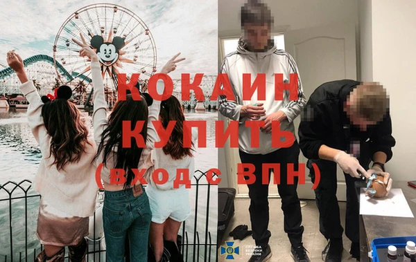 индика Абинск