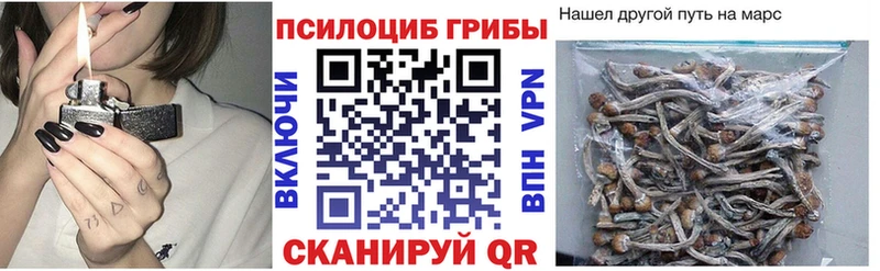 Галлюциногенные грибы Psilocybe  Дзержинск 