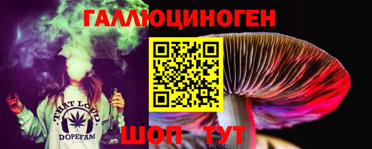 Галлюциногенные грибы GOLDEN TEACHER  Псилоцибиновые грибы MAGIC MUSHROOMS  Вход с VPN  где продают наркотики  Дзержинск 